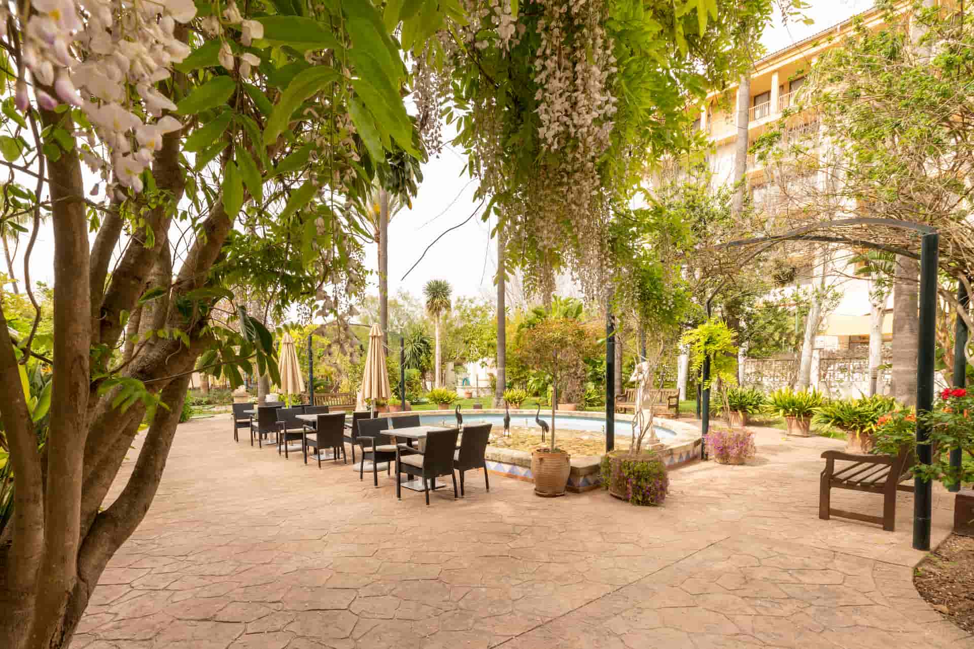 exotic gardens at hotel bahia de alcudia