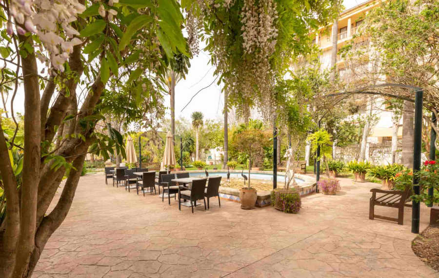 exotic gardens at hotel bahia de alcudia