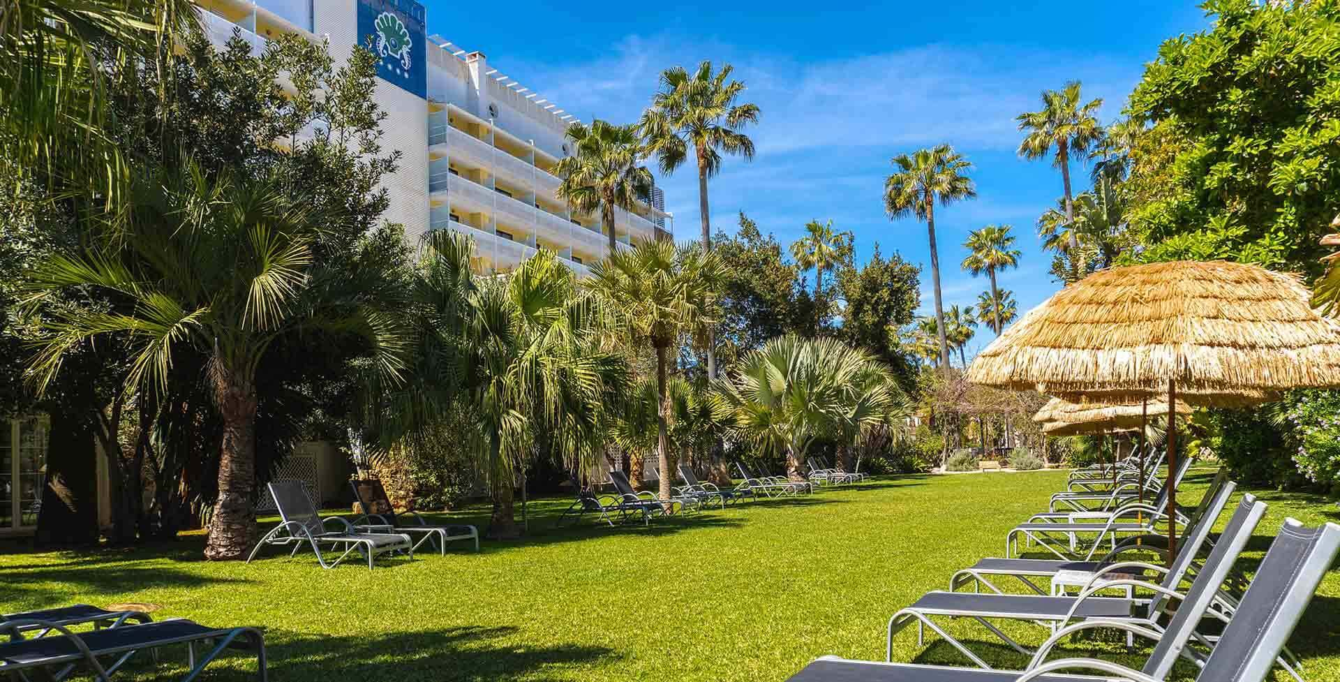 mallorca hotel bahia de alcudia