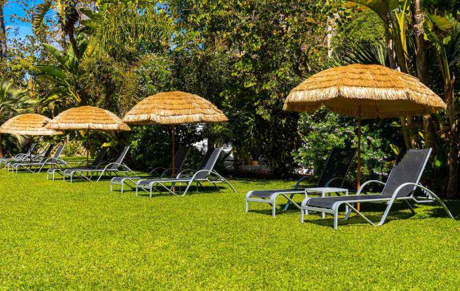 Se détendre dans les jardins de l'hôtel bahia de alcudia